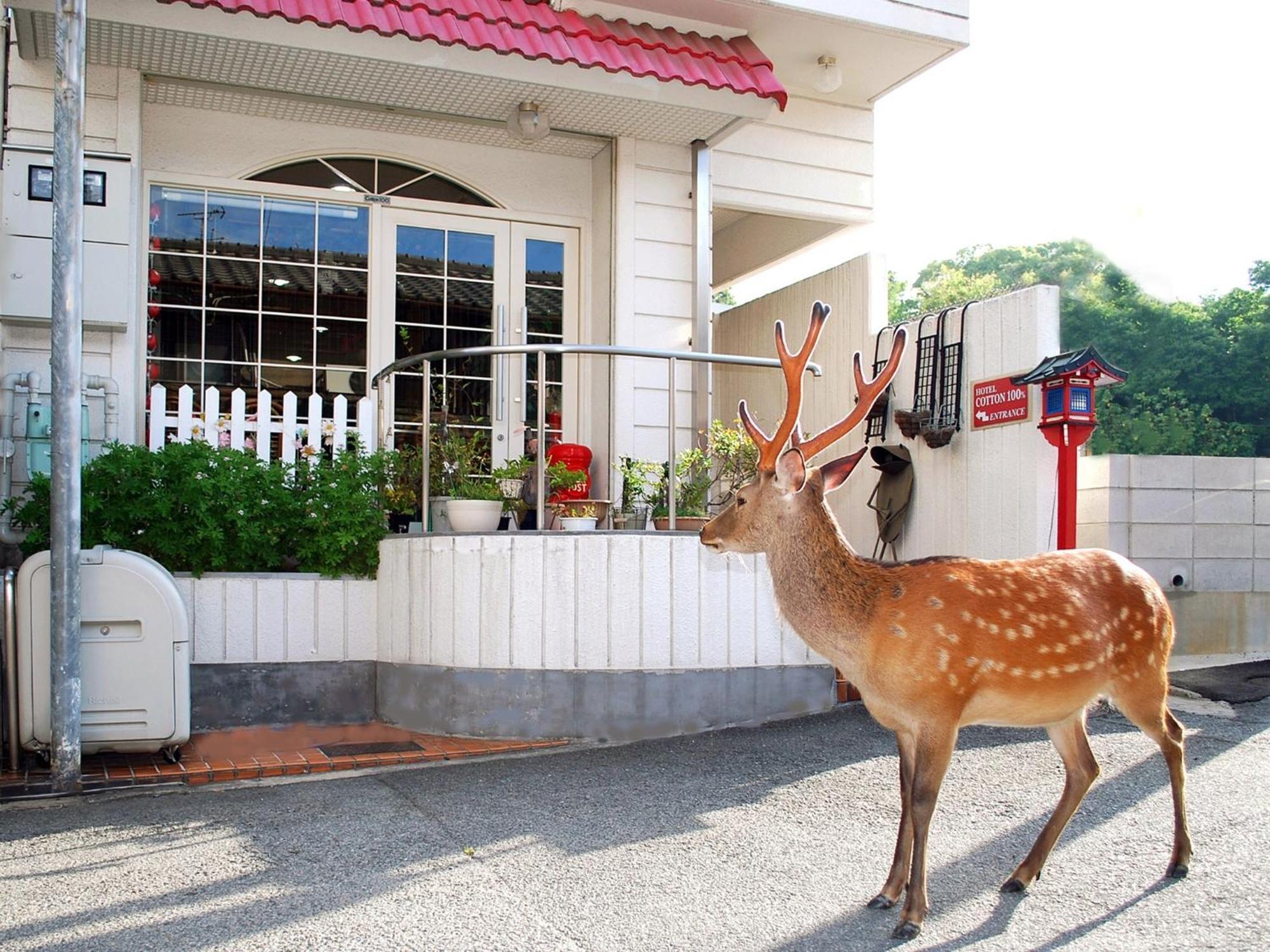 Nara - Hotel / Vacation Stay 47950 Bagian luar foto