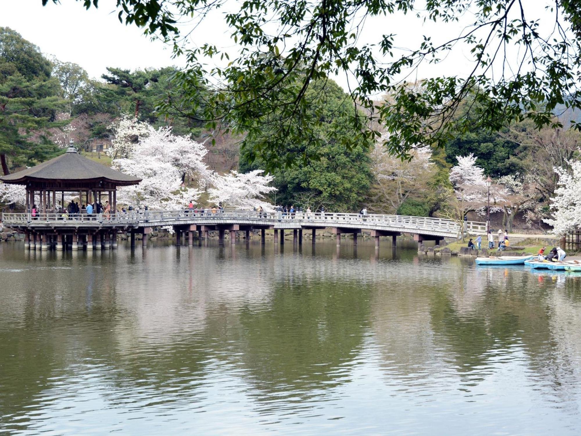 Nara - Hotel / Vacation Stay 47950 Bagian luar foto